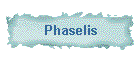 Phaselis